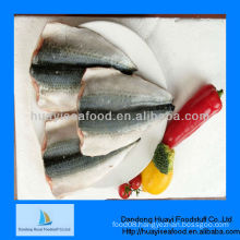 fresh frozen pacific mackerel fillet